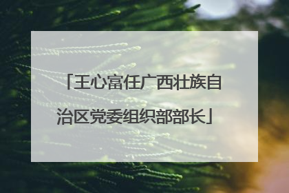 王心富任广西壮族自治区党委组织部部长