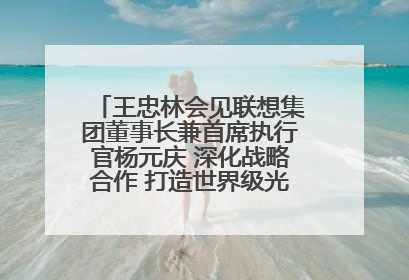 王忠林会见联想集团董事长兼首席执行官杨元庆 深化战略合作 打造世界级光电子信息产业集群