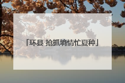 环县 抢抓墒情忙夏种
