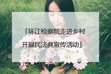 环江检察院走进乡村开展民法典宣传活动
