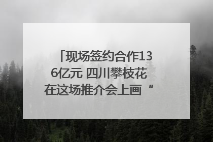 现场签约合作136亿元 四川攀枝花在这场推介会上画“图谱”列“清单”