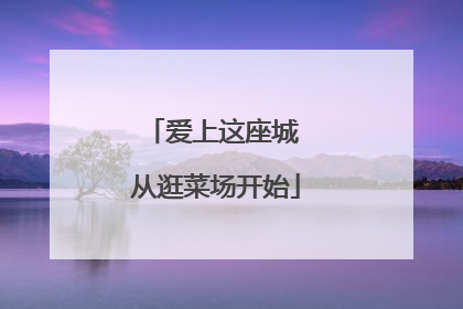 爱上这座城 从逛菜场开始