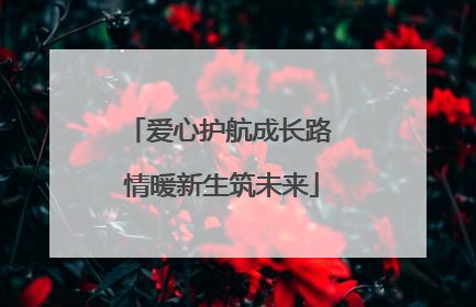 爱心护航成长路 情暖新生筑未来