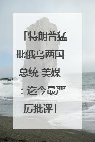 特朗普猛批俄乌两国总统 美媒：迄今最严厉批评