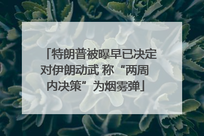 特朗普被曝早已决定对伊朗动武 称“两周内决策”为烟雾弹