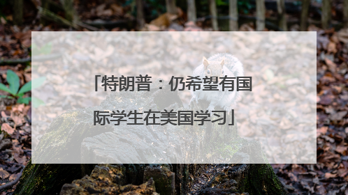 特朗普：仍希望有国际学生在美国学习