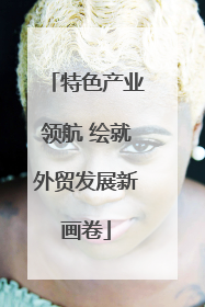 特色产业领航 绘就外贸发展新画卷