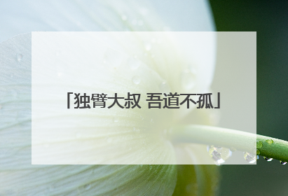 独臂大叔 吾道不孤