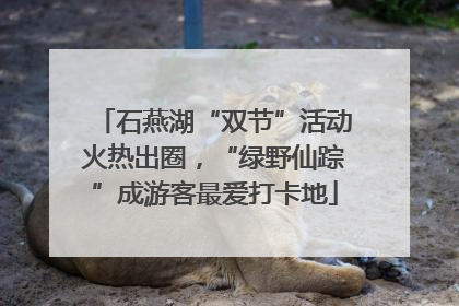 石燕湖“双节”活动火热出圈，“绿野仙踪”成游客最爱打卡地