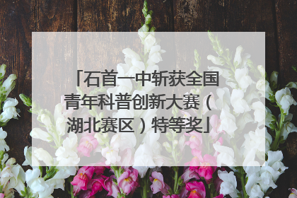 石首一中斩获全国青年科普创新大赛（湖北赛区）特等奖