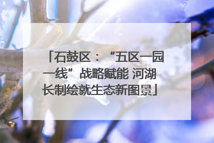 石鼓区：“五区一园一线”战略赋能 河湖长制绘就生态新图景