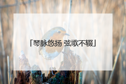 琴脉悠扬 弦歌不辍