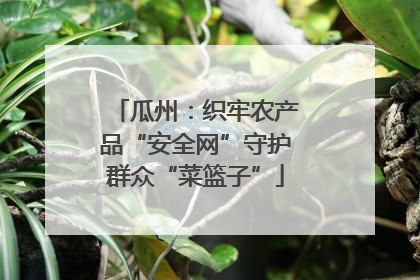 瓜州：织牢农产品“安全网”守护群众“菜篮子”
