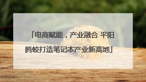 电商赋能，产业融合 平阳腾蛟打造笔记本产业新高地