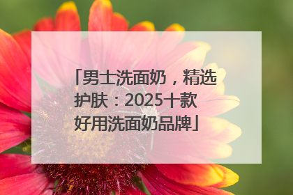 男士洗面奶，精选护肤：2025十款好用洗面奶品牌