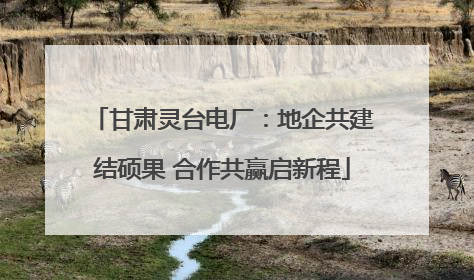 甘肃灵台电厂：地企共建结硕果 合作共赢启新程