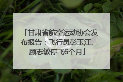 甘肃省航空运动协会发布报告：飞行员彭玉江、顾志敏停飞6个月