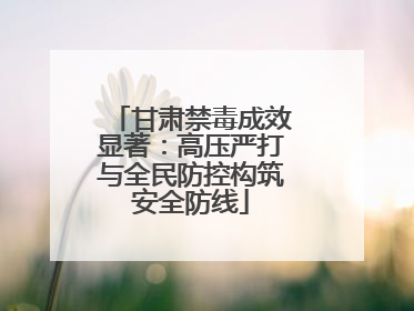 甘肃禁毒成效显著：高压严打与全民防控构筑安全防线