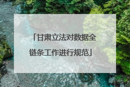 甘肃立法对数据全链条工作进行规范