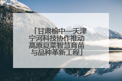 甘肃榆中—天津宁河科技协作推动高原夏菜智慧育苗与品种革新工程