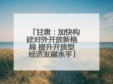 甘肃：加快构建对外开放新格局 提升开放型经济发展水平