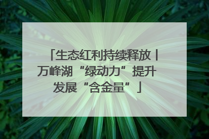 生态红利持续释放丨万峰湖“绿动力”提升发展“含金量”