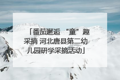 番茄邂逅 “童”趣采摘 河北唐县第二幼儿园研学采摘活动