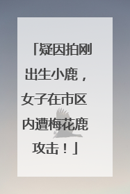 疑因拍刚出生小鹿，女子在市区内遭梅花鹿攻击！