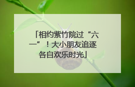 相约紫竹院过“六一”！大小朋友追逐各自欢乐时光