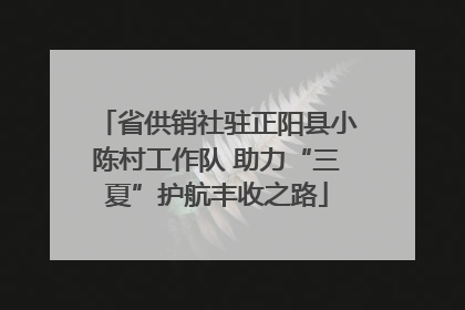 省供销社驻正阳县小陈村工作队 助力“三夏”护航丰收之路