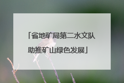 省地矿局第二水文队助推矿山绿色发展