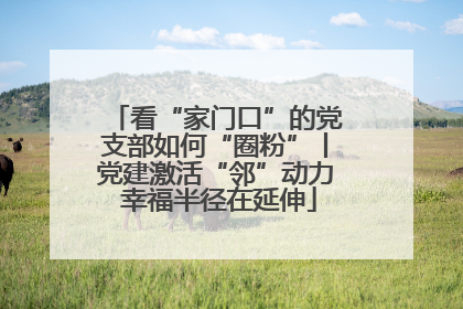 看“家门口”的党支部如何“圈粉”丨党建激活“邻”动力 幸福半径在延伸