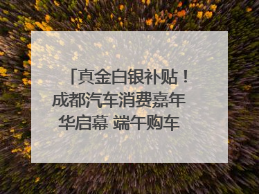 真金白银补贴！成都汽车消费嘉年华启幕 端午购车正当时｜网络中国节·端午