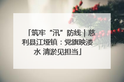 筑牢“汛”防线｜慈利县江垭镇：党旗映溇水 清淤见担当