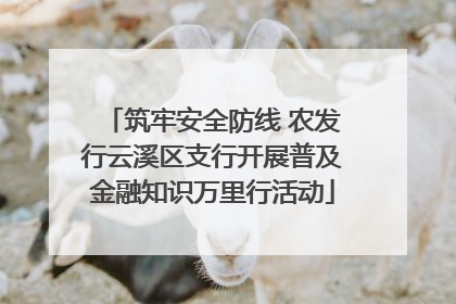筑牢安全防线 农发行云溪区支行开展普及金融知识万里行活动