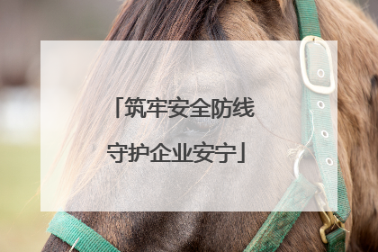 筑牢安全防线 守护企业安宁