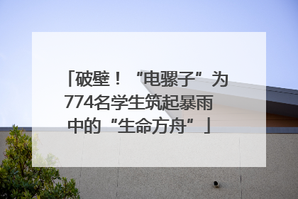 破壁！“电骡子”为774名学生筑起暴雨中的“生命方舟”