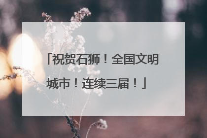 祝贺石狮！全国文明城市！连续三届！