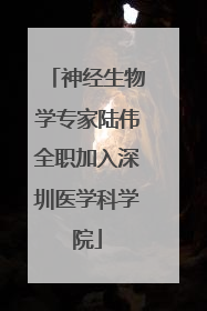 神经生物学专家陆伟全职加入深圳医学科学院