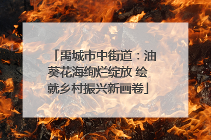 禹城市中街道：油葵花海绚烂绽放 绘就乡村振兴新画卷