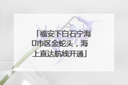 福安下白石宁海⇆市区金蛇头，海上直达航线开通
