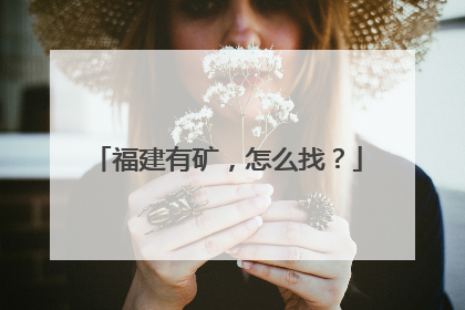 福建有矿，怎么找？