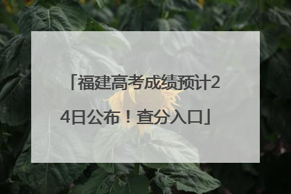 福建高考成绩预计24日公布！查分入口