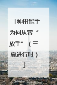 种田能手为何从容“放手”（三夏进行时）
