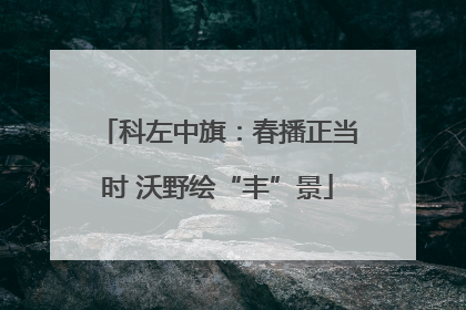 科左中旗：春播正当时 沃野绘“丰”景