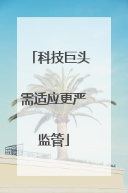 科技巨头需适应更严监管