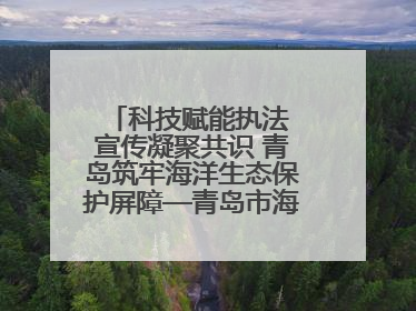 科技赋能执法 宣传凝聚共识 青岛筑牢海洋生态保护屏障—青岛市海洋发展局开展“世界海洋日”和“全国海洋宣传日”宣传活动