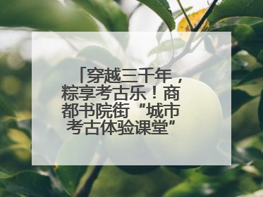 穿越三千年，粽享考古乐！商都书院街“城市考古体验课堂”端午“开课”