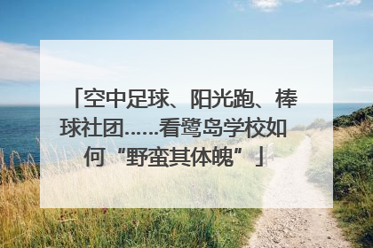 空中足球、阳光跑、棒球社团……看鹭岛学校如何“野蛮其体魄”