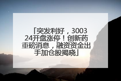 突发利好，300324开盘涨停！创新药重磅消息，融资资金出手加仓股揭晓